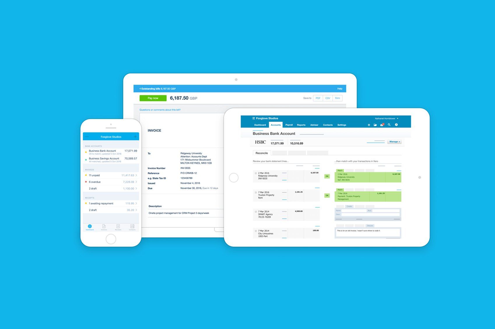 Xero Accounting Training